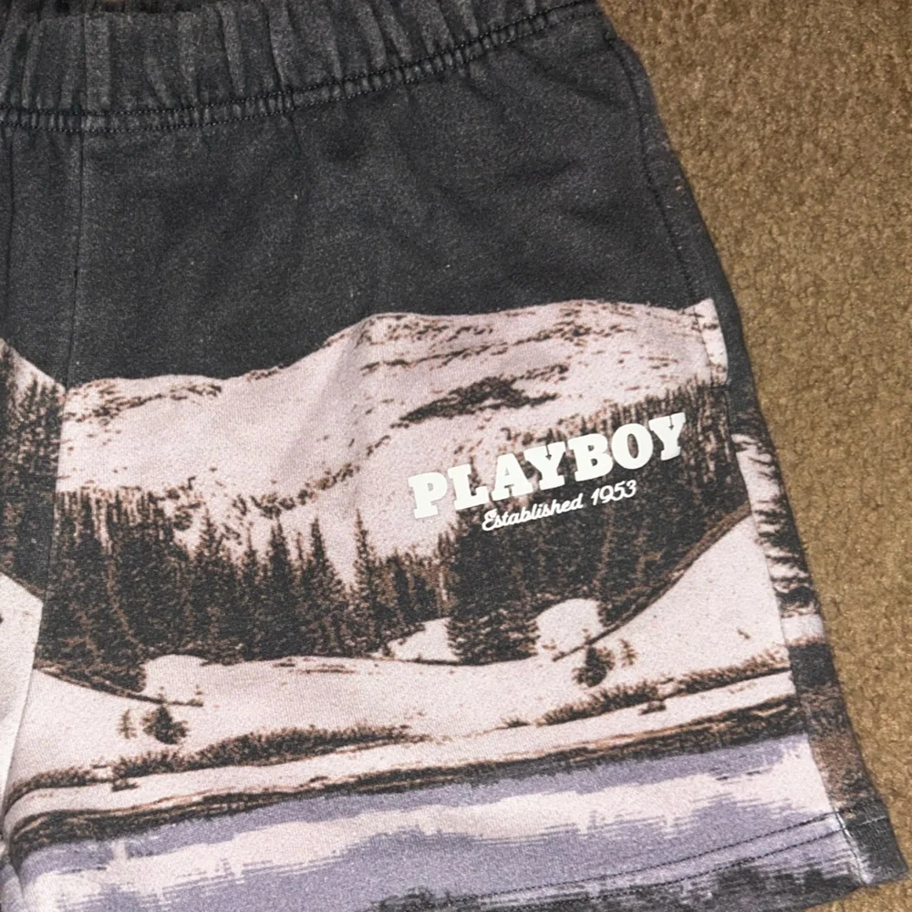 PacSun x Playboy Mountain Graphic Sweat Shorts - Picture 2 of 4
